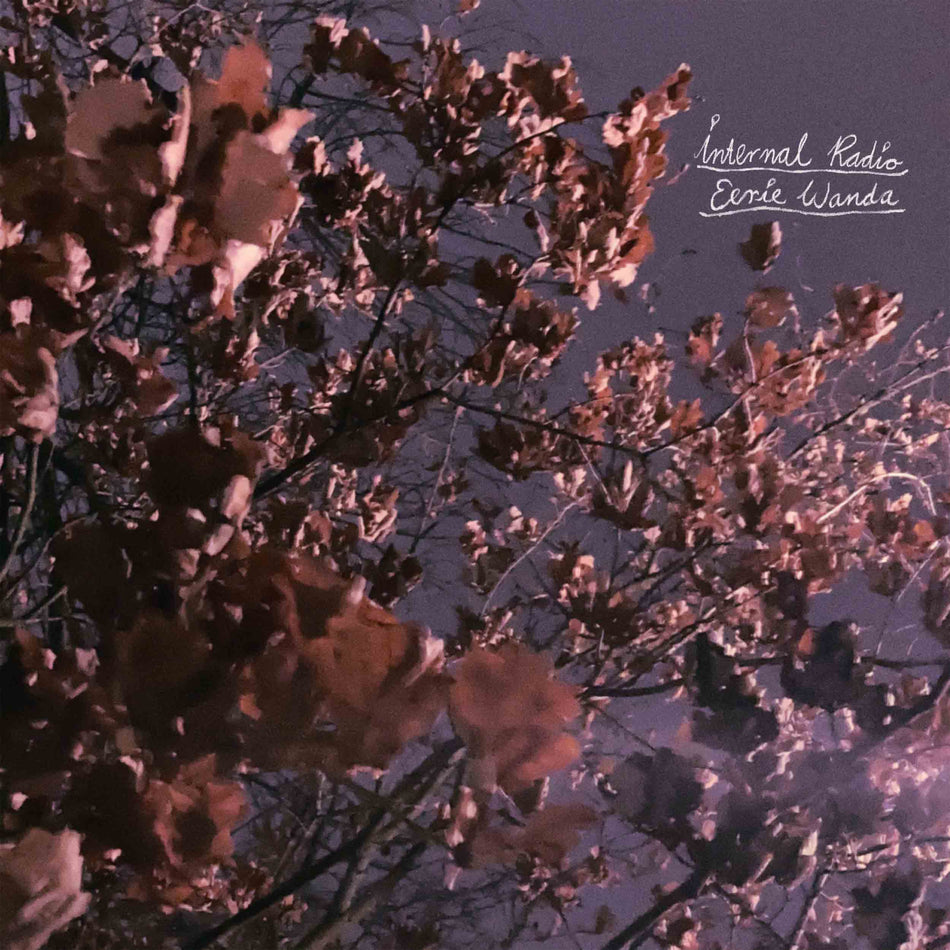 Internal Radio - Vinyle Lavande - Front Cover