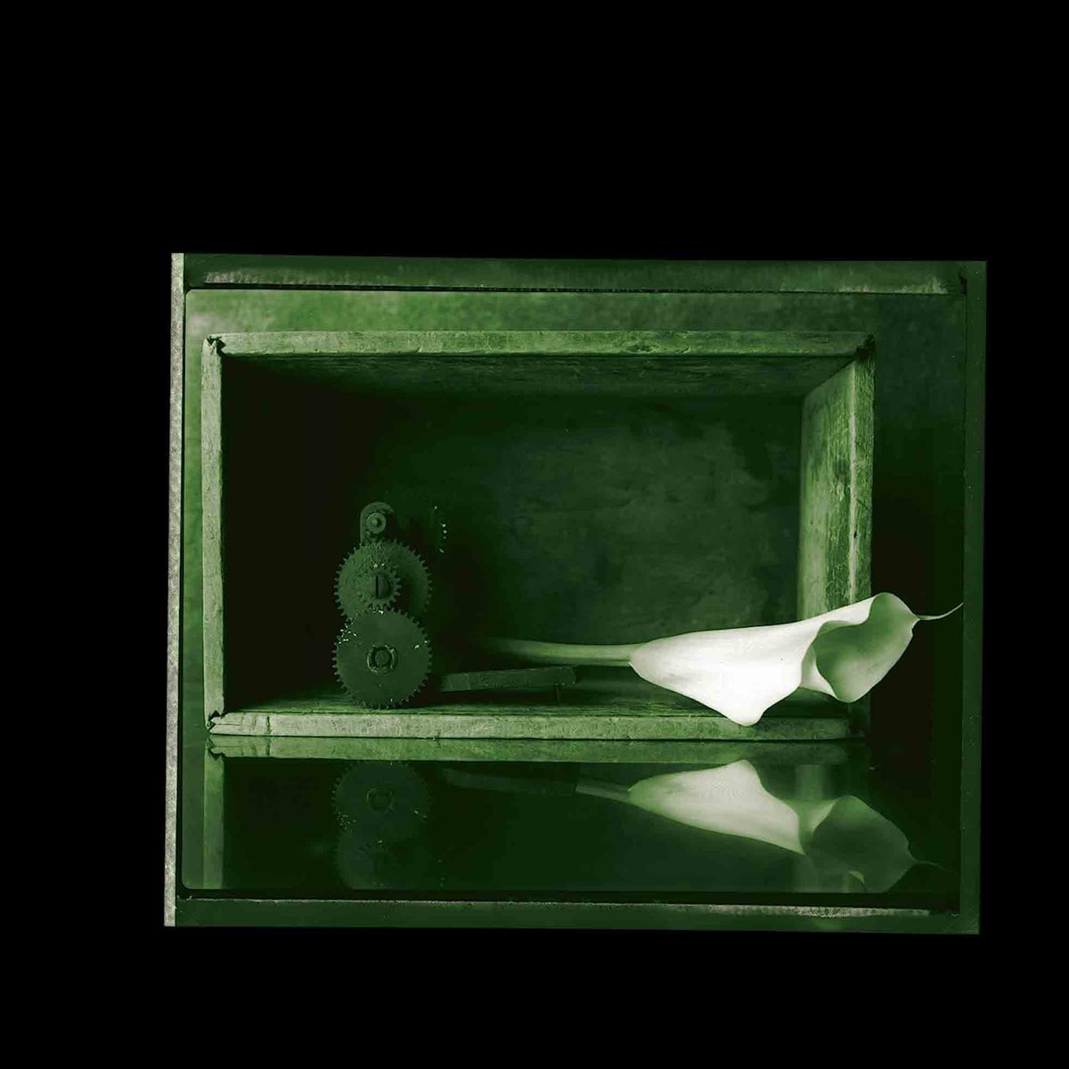 Elegies - Front Cover