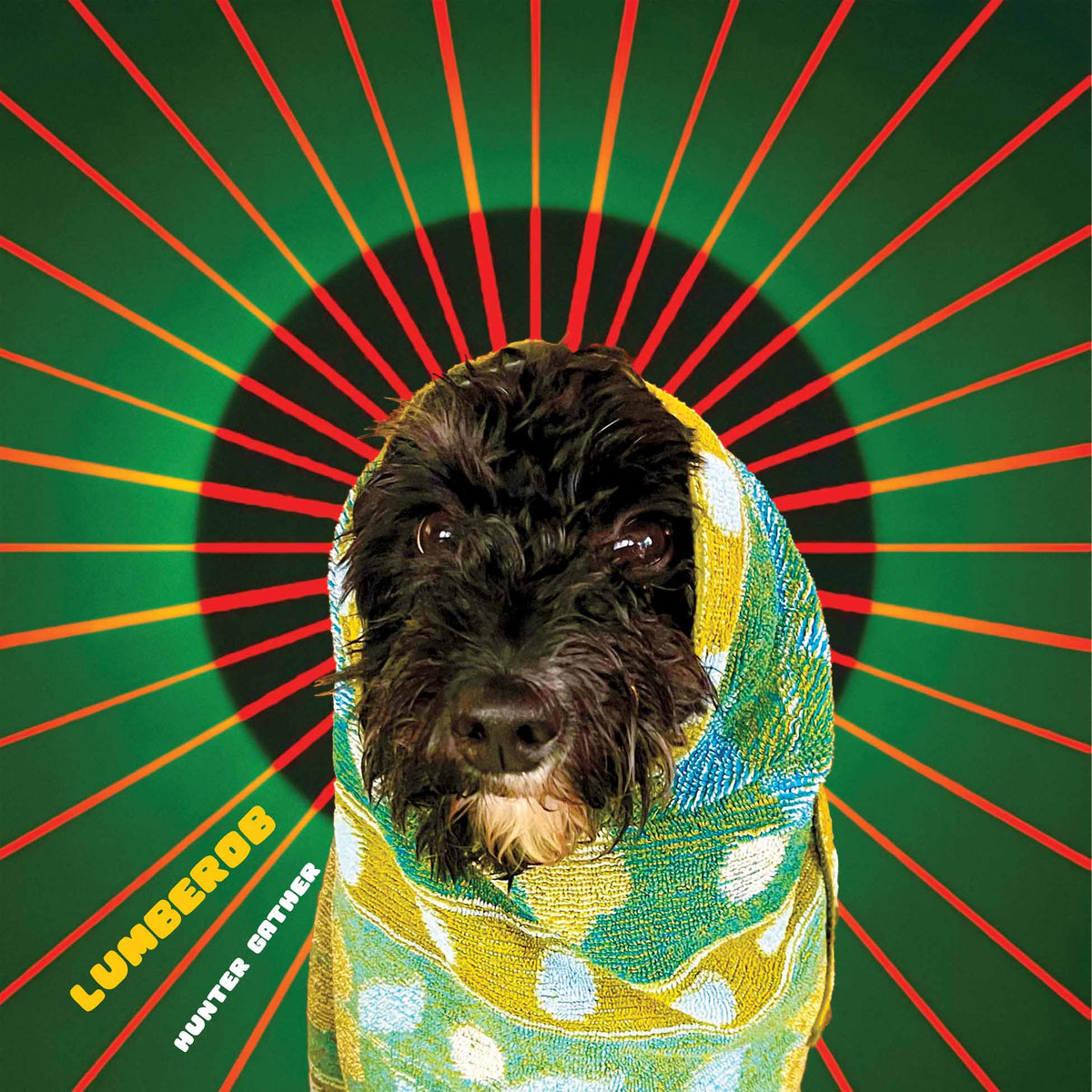 Hunter Gather - Vinyle Transparent - Front Cover