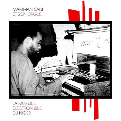 La musique électronique du Niger - Front Cover