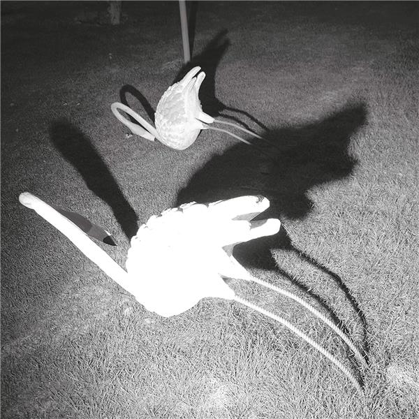 A Mimesis of Nothingness (8 Page Booklet) - Front Cover