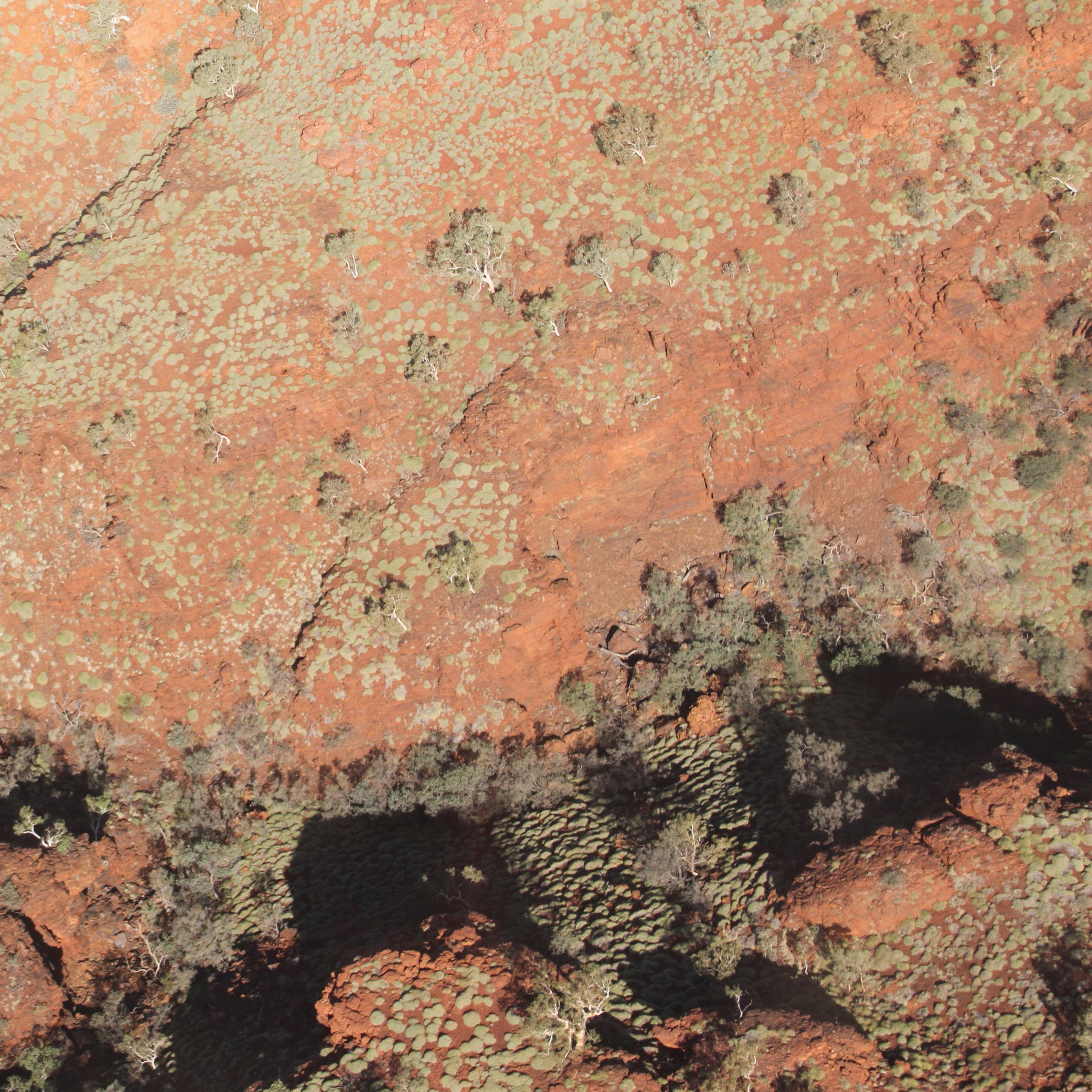 Tropic of Capricorn/Orange Vinyl - Front Cover