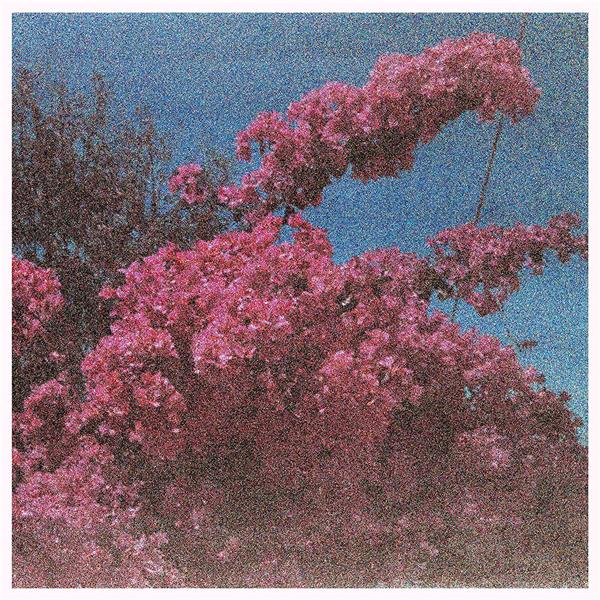 Picture a Frame/White Vinyl - Front Cover