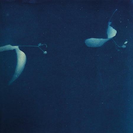As If - Front Cover