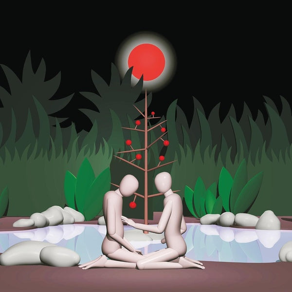 Reise der Schatten - Front Cover