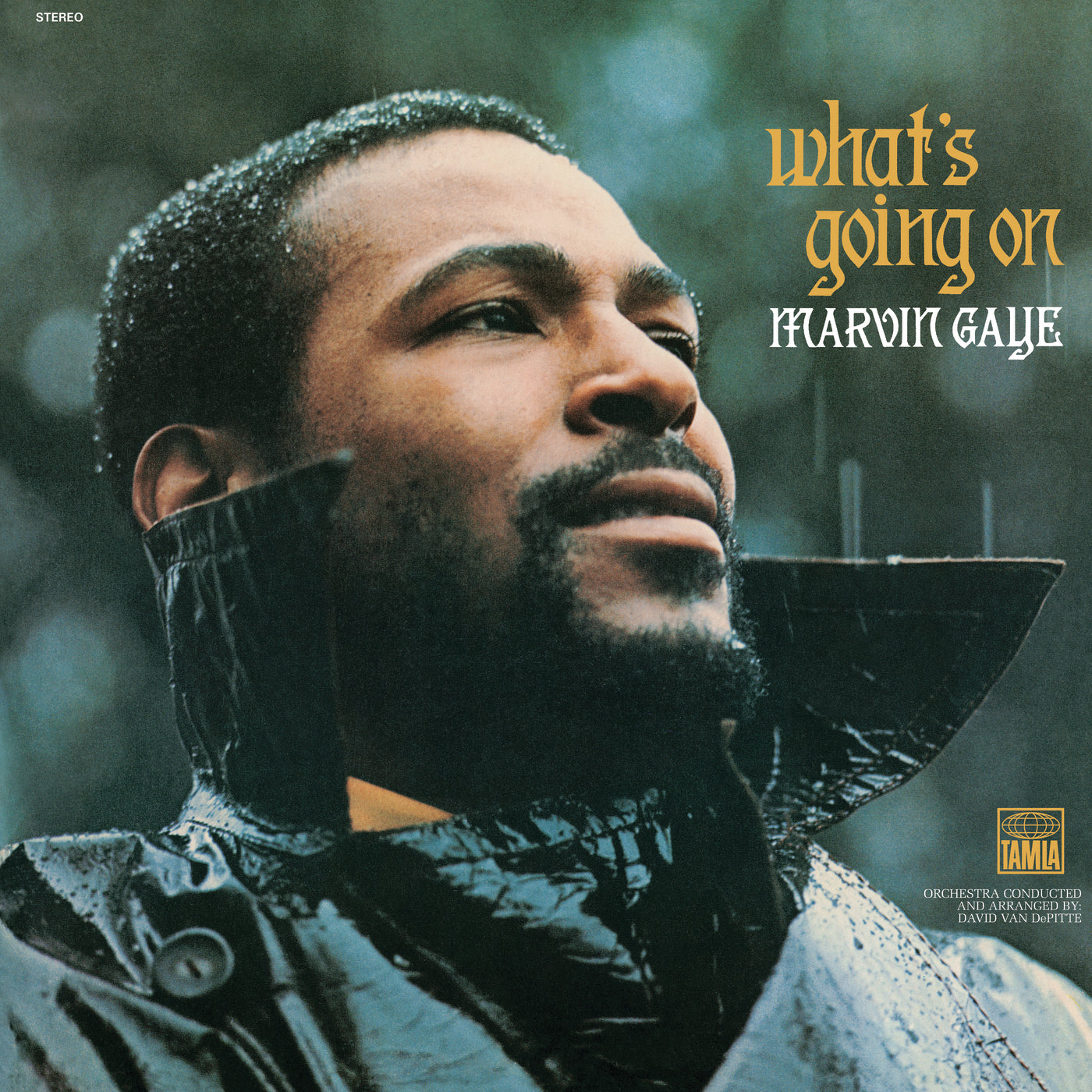 What's Going On - Front Cover