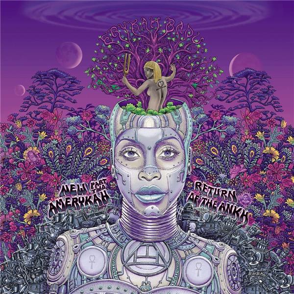 New Amerykah Part Two - Front Cover