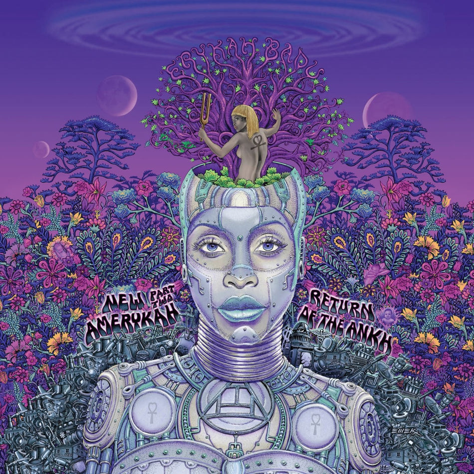 New Amerykah Part Two - Front Cover