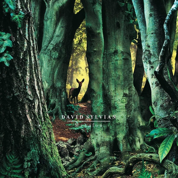 Manafon - Front Cover