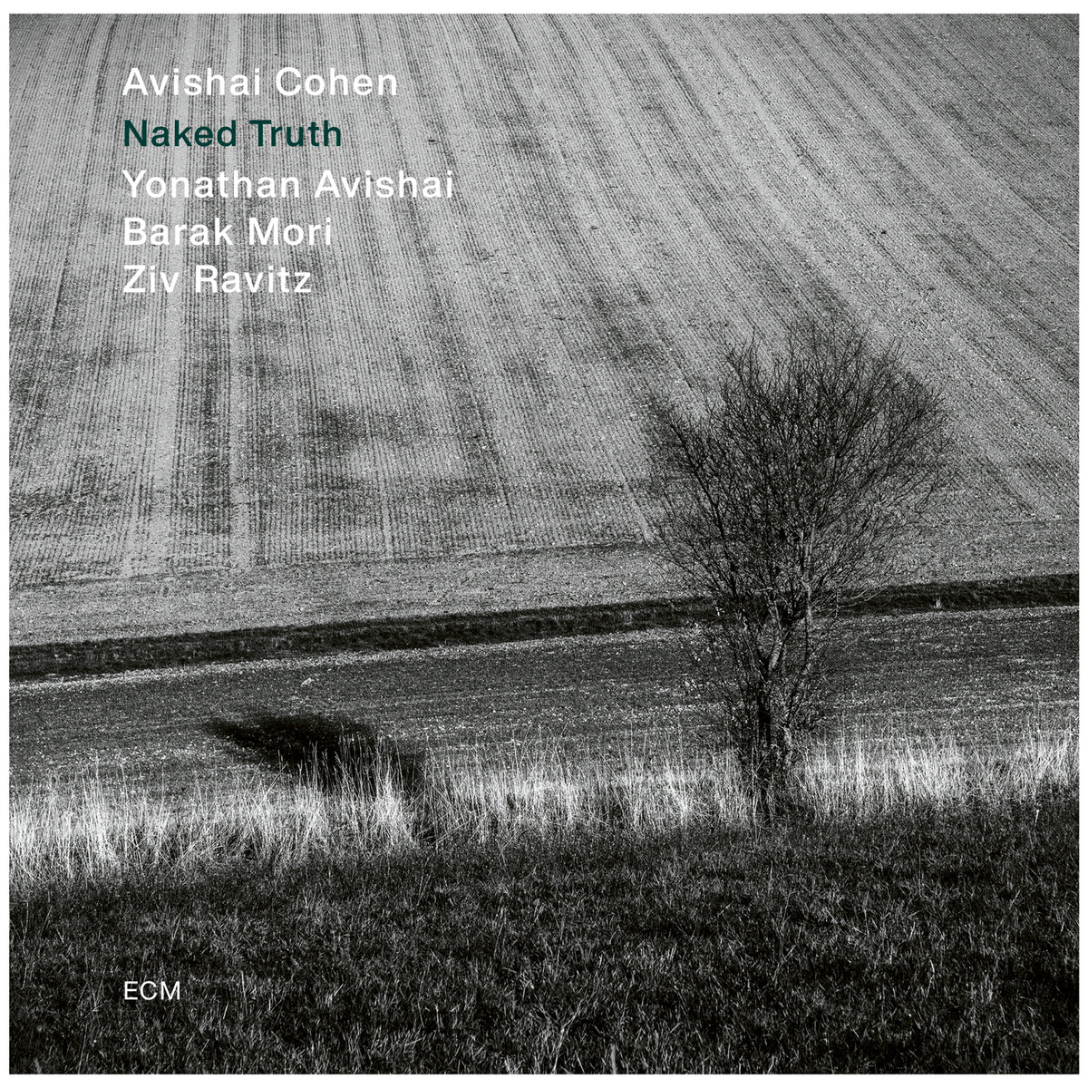 Naked Truth - Front Cover