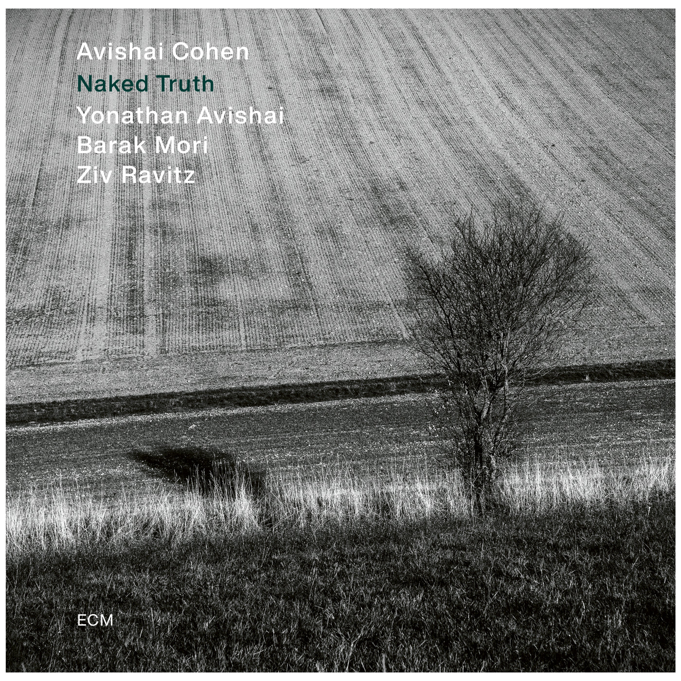 Naked Truth - Front Cover