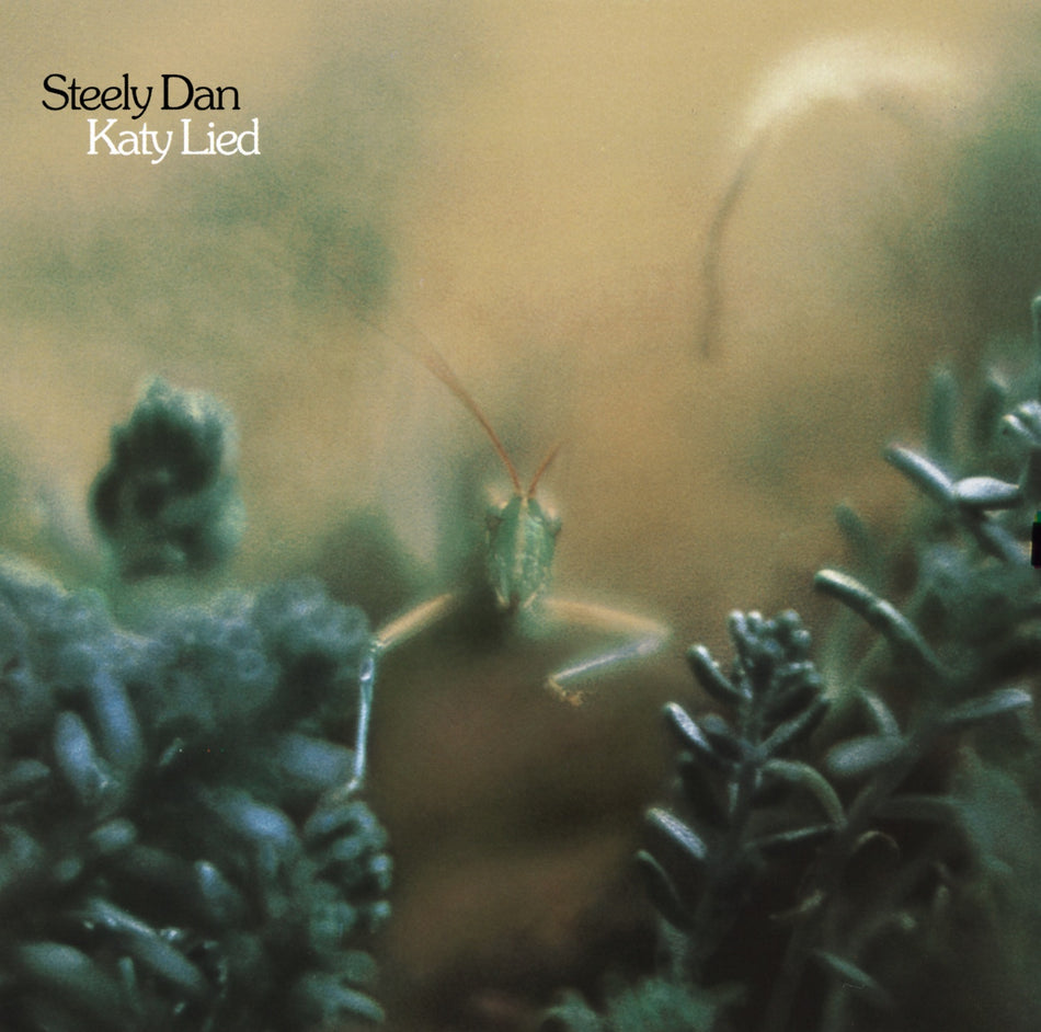 Katy Lied - Front Cover