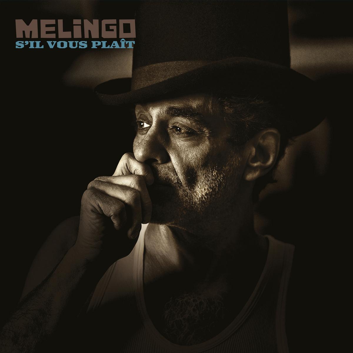 S'Il Vous Plaît - Front Cover