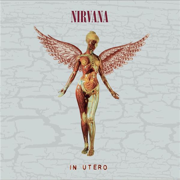 In Utero 30th Anniversary Édition Deluxe Limitée Coffret - Front Cover