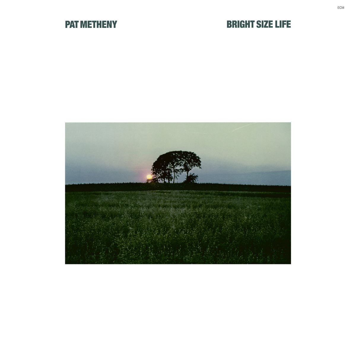 Bright Size Life (Luminessence-Serie) - Front Cover