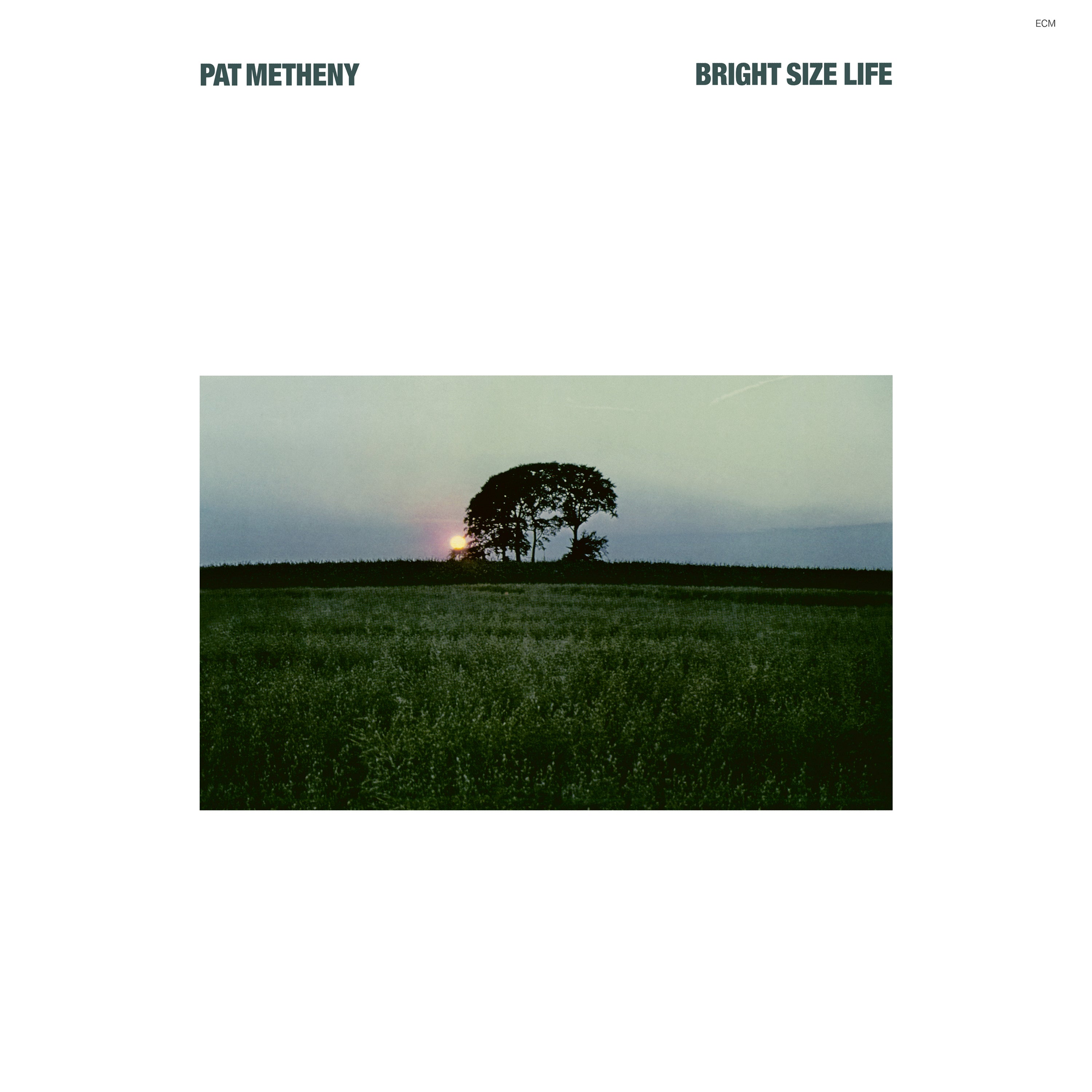 Bright Size Life (Luminessence-Serie) - Front Cover