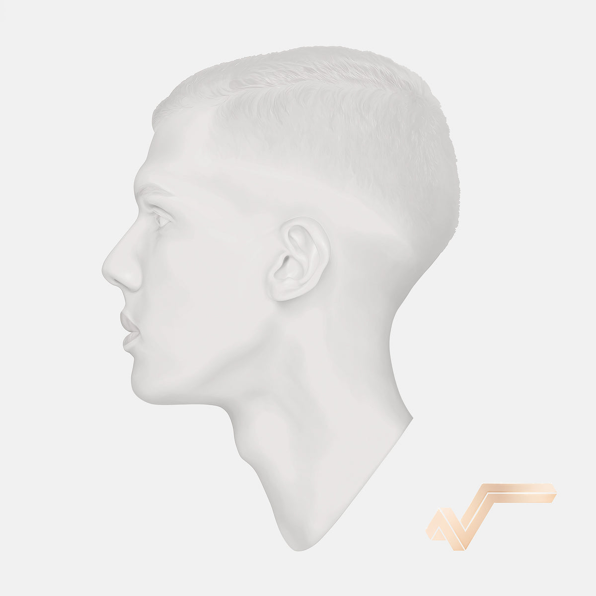 racine carrée (édition limitée 10ème anniversaire) - Front Cover