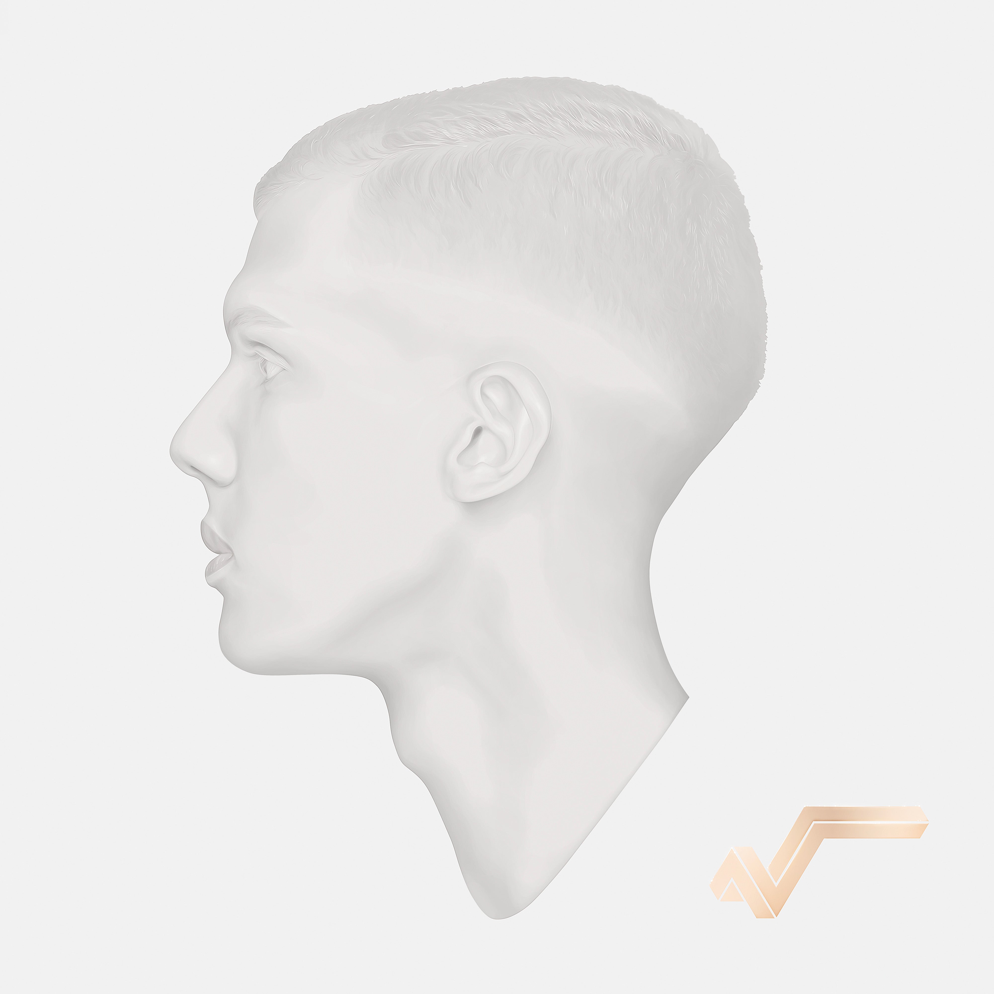 racine carrée (édition limitée 10ème anniversaire) - Front Cover