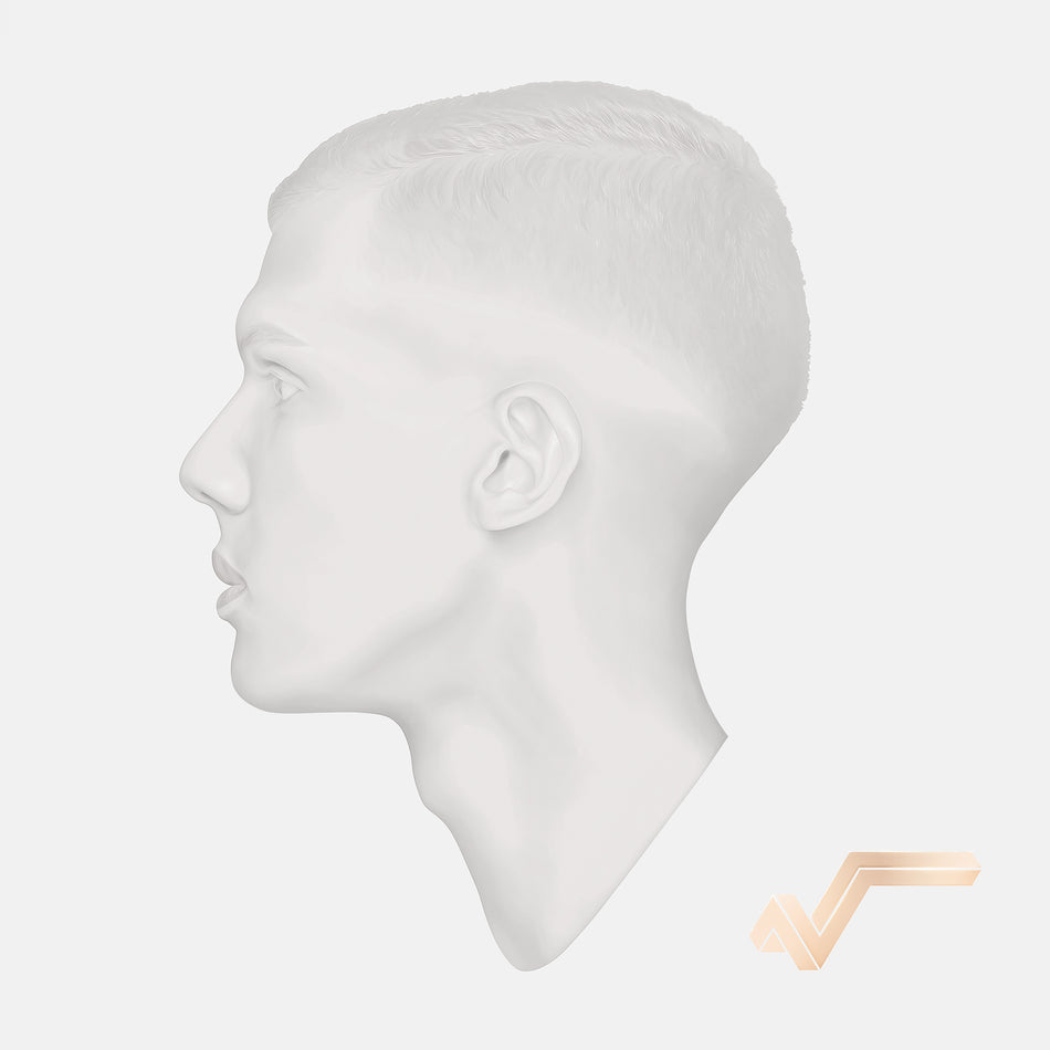 racine carrée (édition limitée 10ème anniversaire) - Front Cover