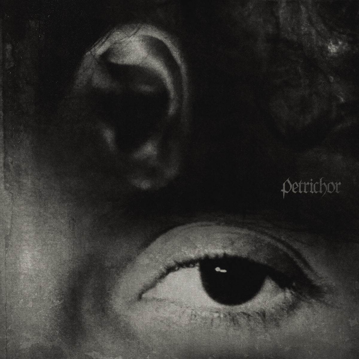 Petrichor - Front Cover