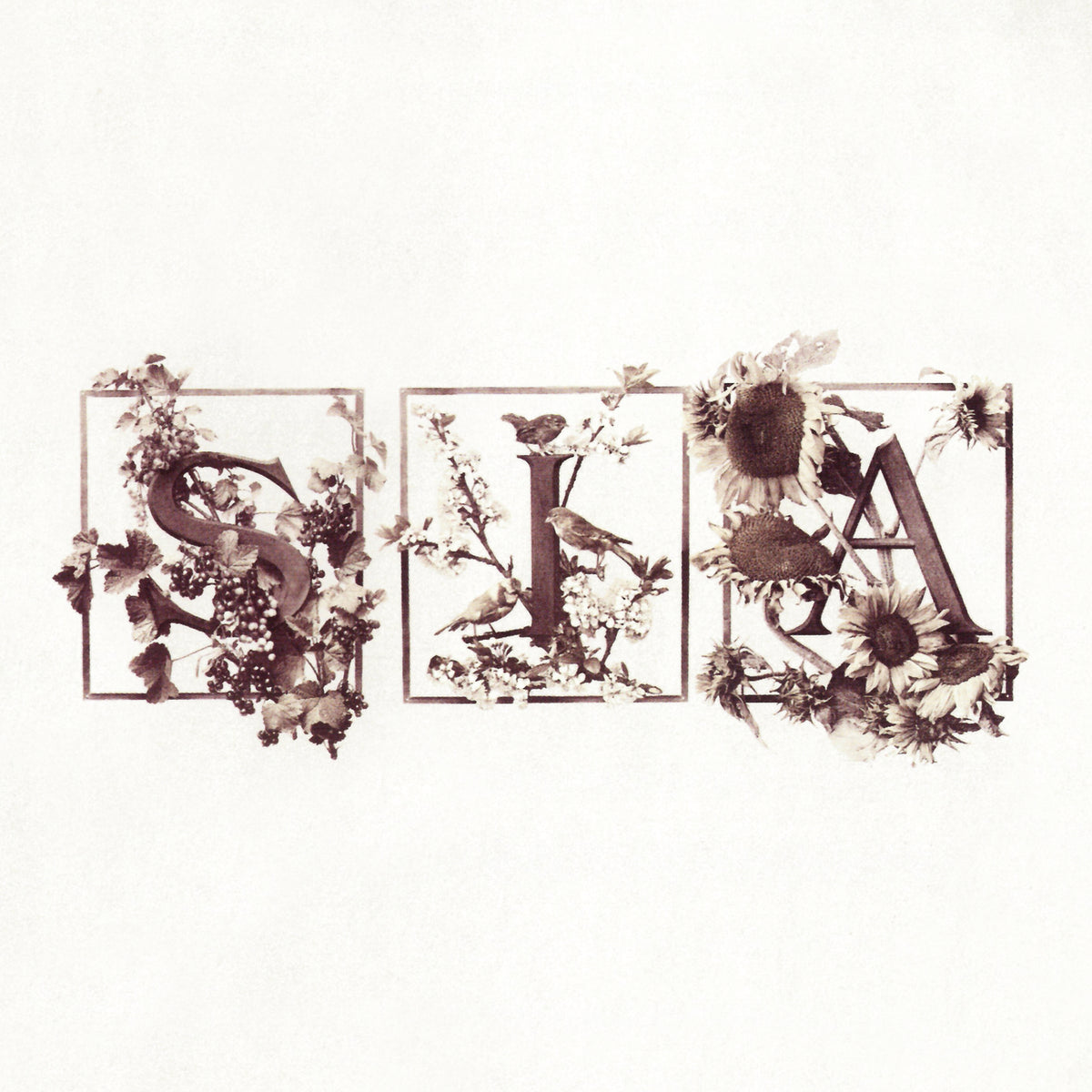 Colour The Small One - Front Cover