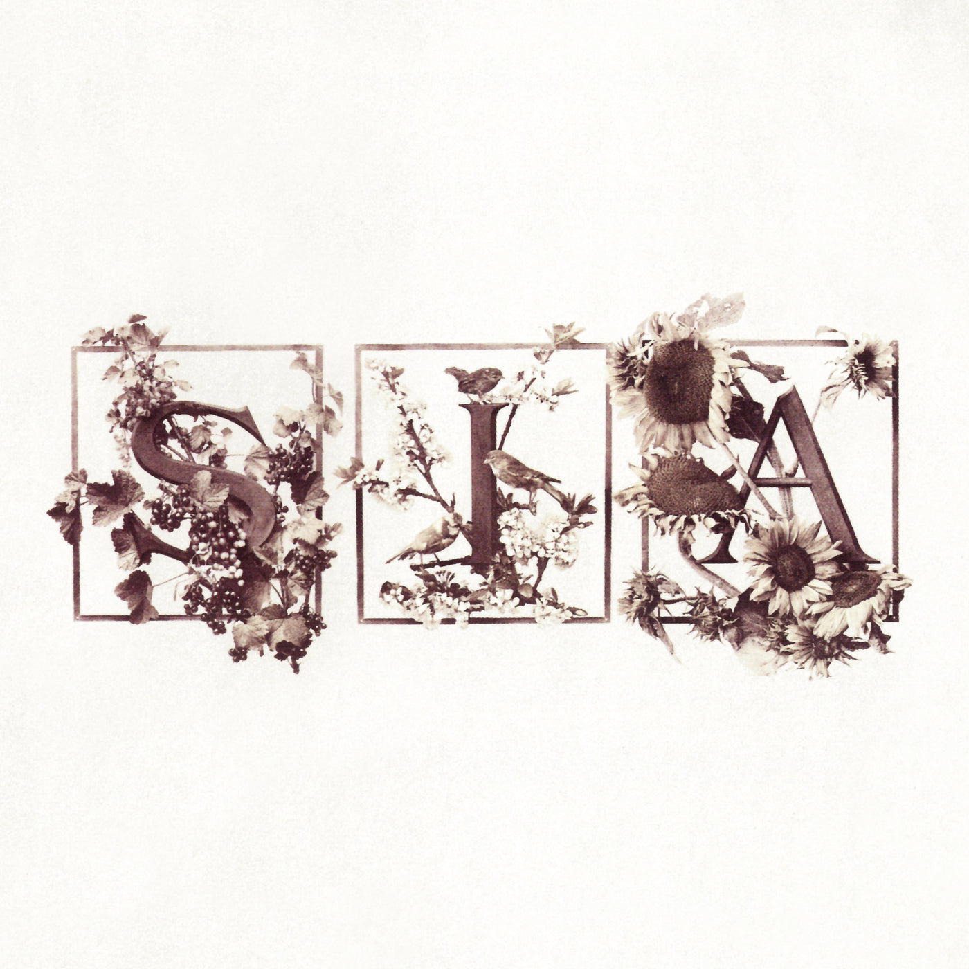 Colour The Small One - Front Cover