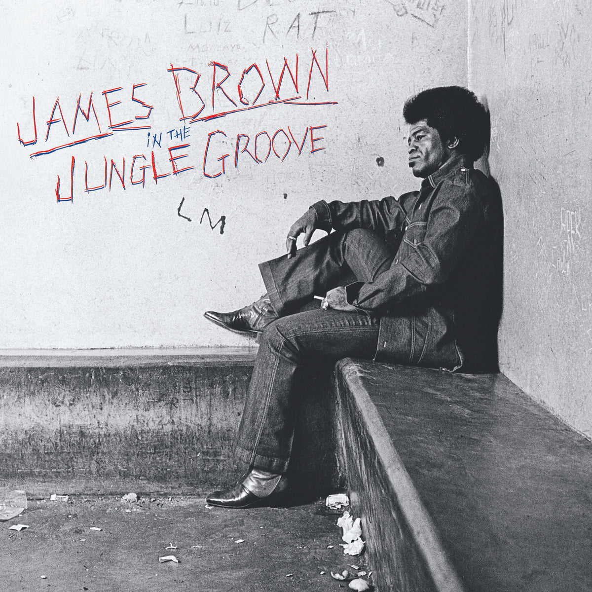 In The Jungle Groove - Front Cover