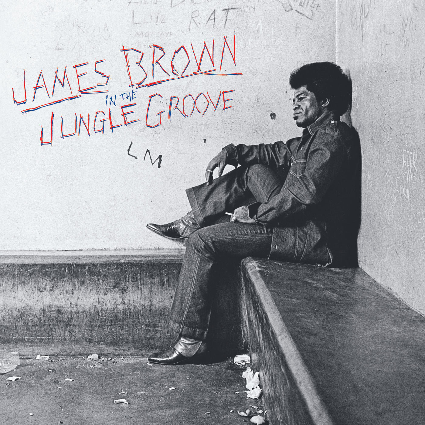 In The Jungle Groove - Front Cover