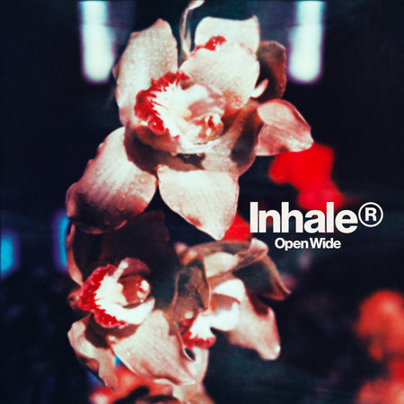 Open Wide - Front Cover