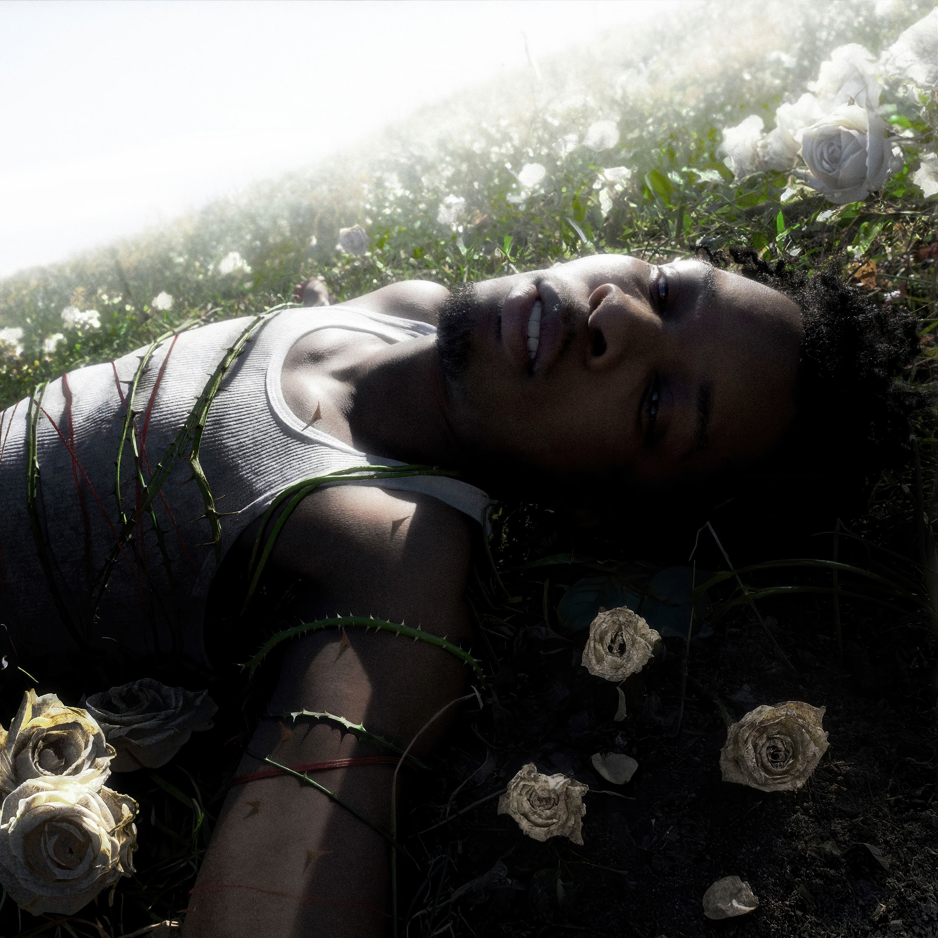 WITHERED - Front Cover