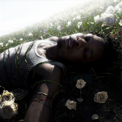 WITHERED - Front Cover