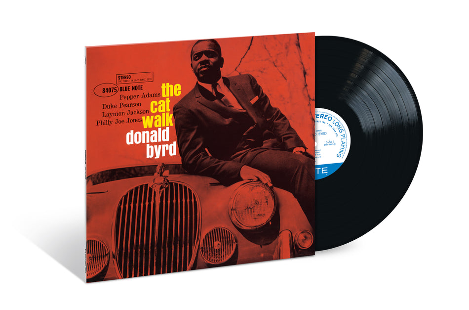 The Cat Walk - Back Cover