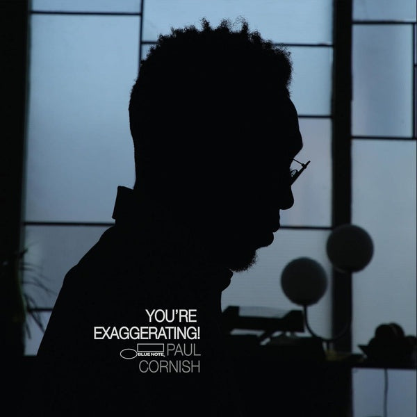 You're Exaggerating! - Front Cover
