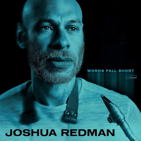 Words Fall Short - Front Cover