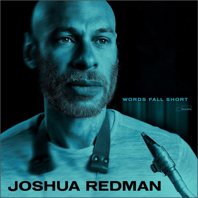 Words Fall Short - Front Cover