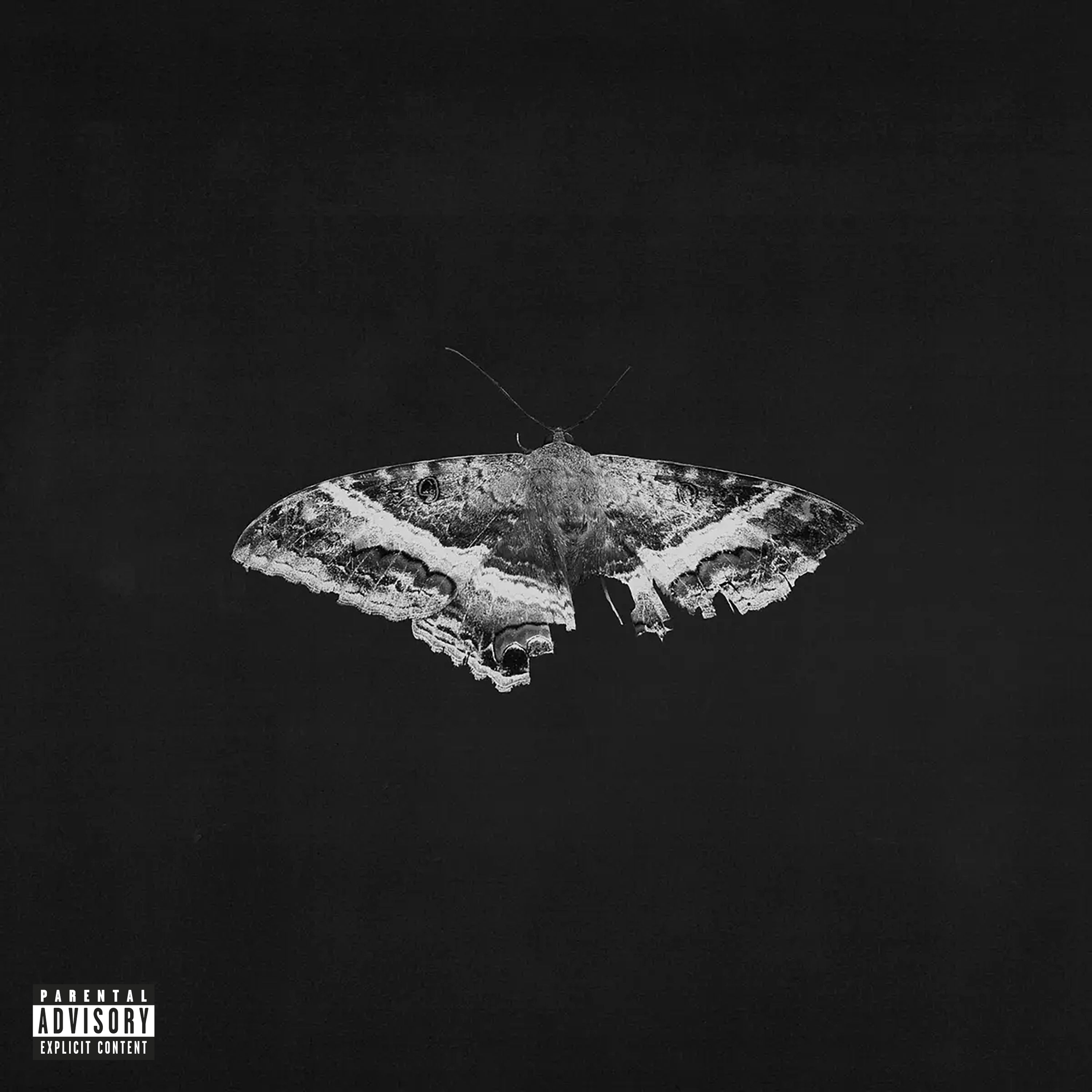 To Pimp A Butterfly - Front Cover