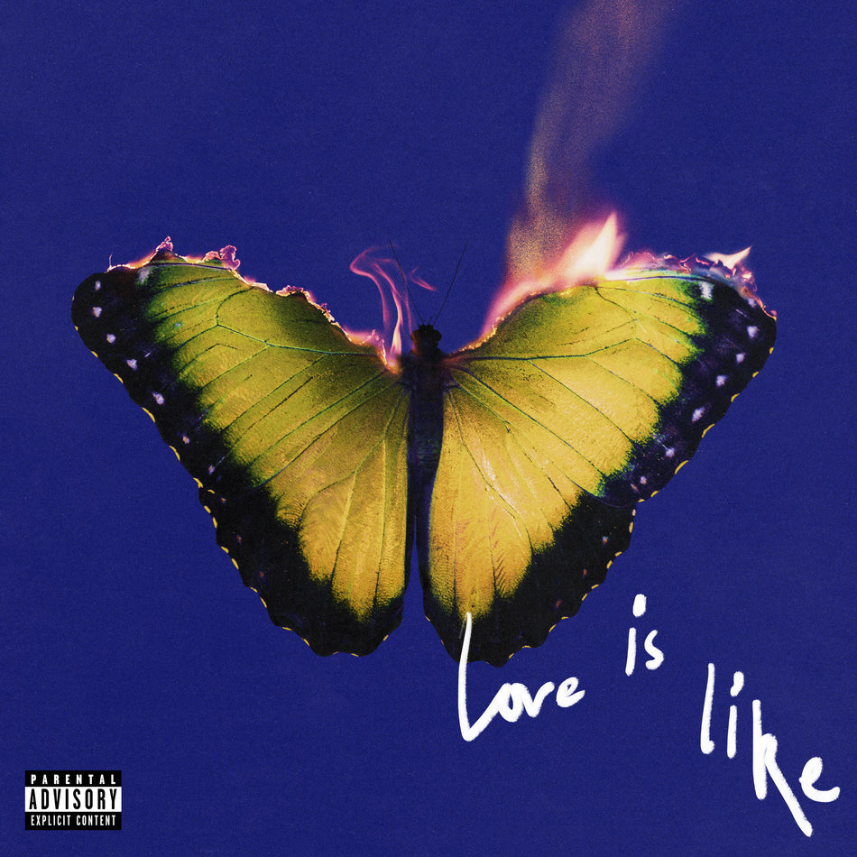 Love Is Like - Front Cover