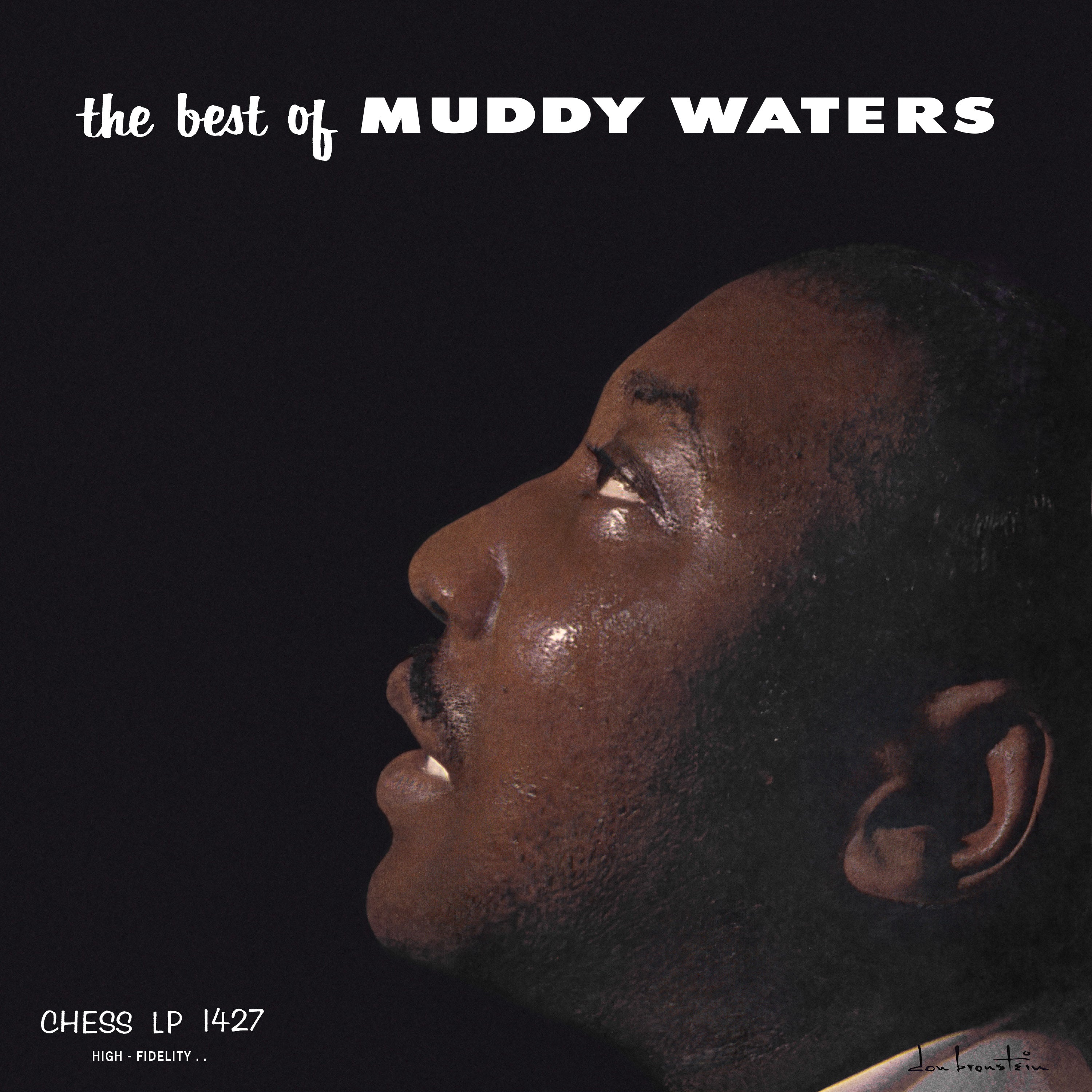 The Best of Muddy Waters - Front Cover