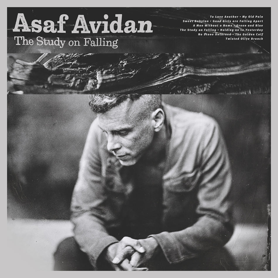 The Study On Falling - Front Cover