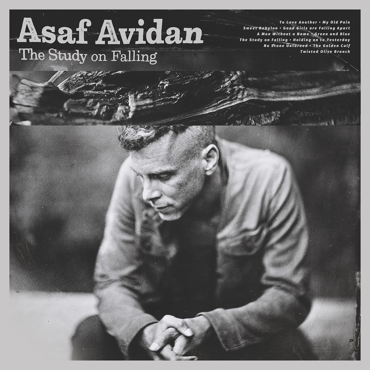 The Study On Falling - Front Cover