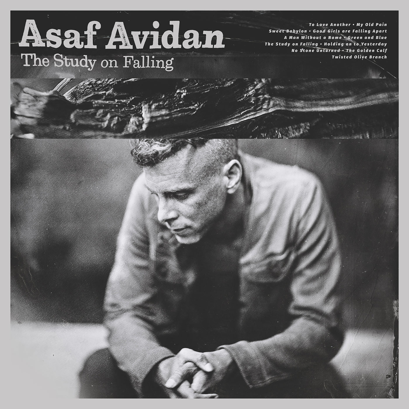 The Study On Falling - Front Cover