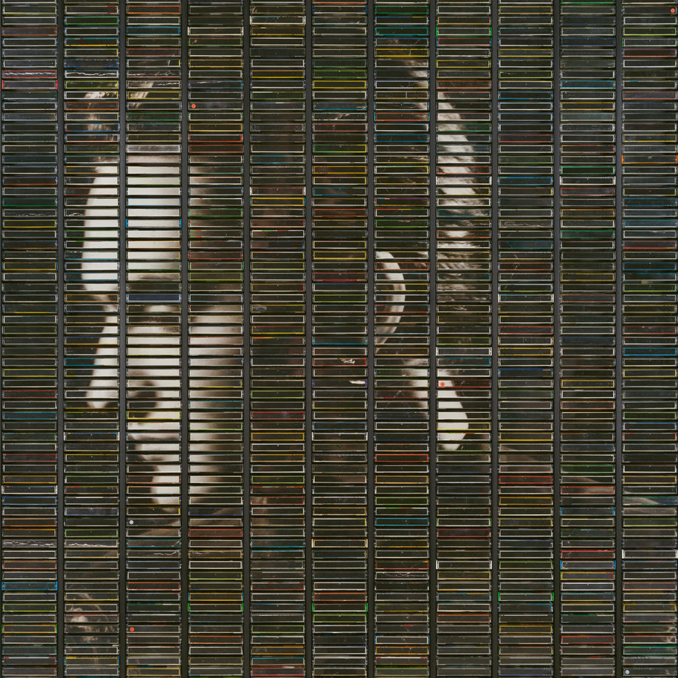 Poussière D’Or - Front Cover