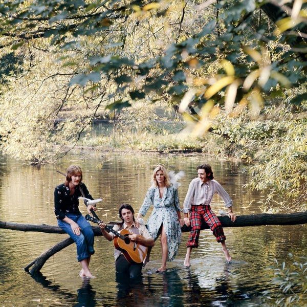 Wild Life - Front Cover