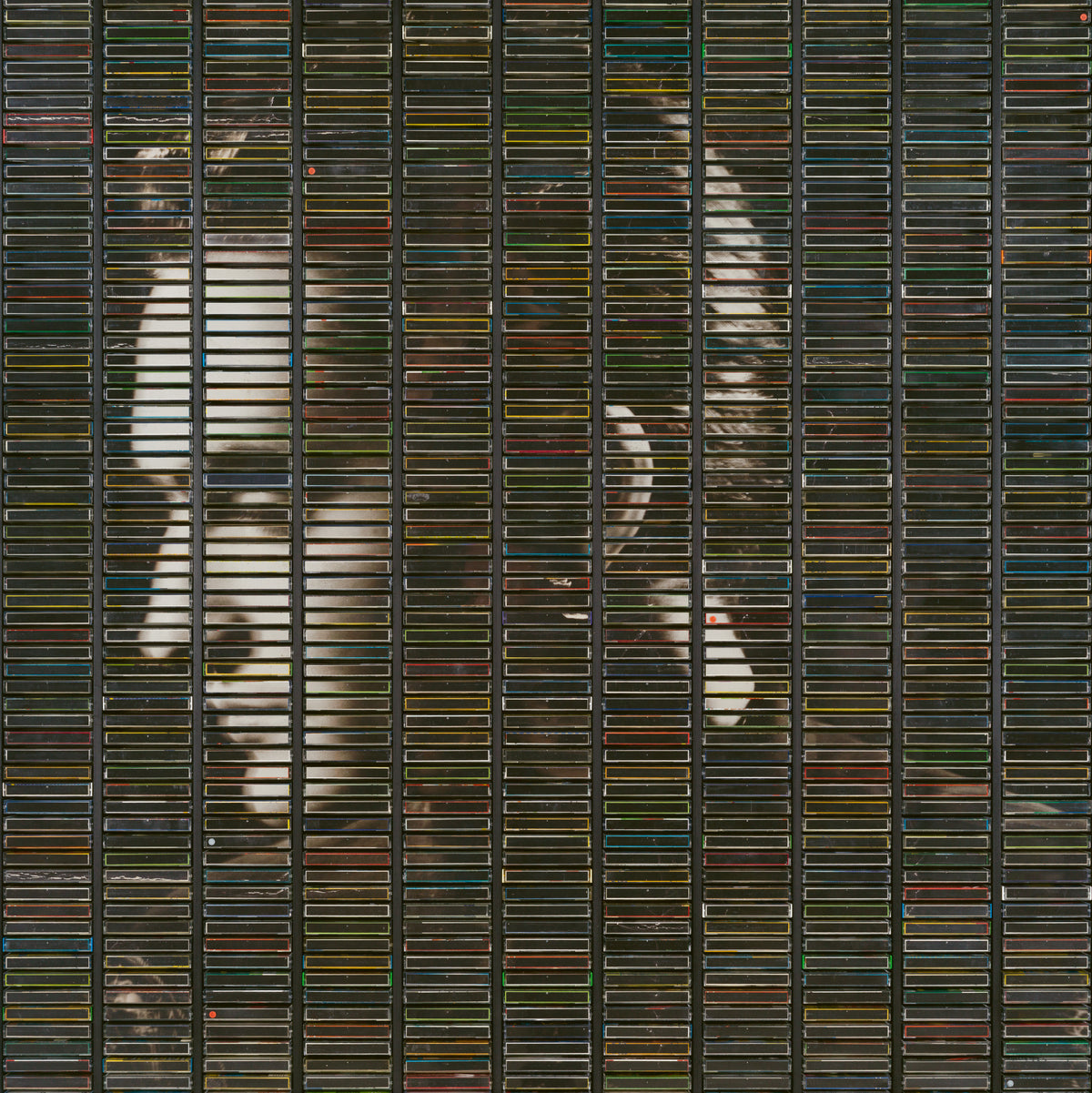 Poussière D’Or - Front Cover