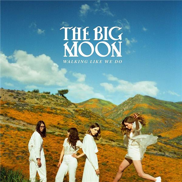 Walking like we do - Front Cover