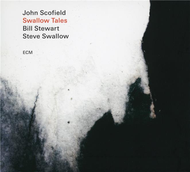 Swallow tales - Front Cover