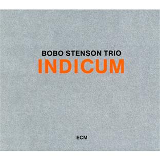 Indicum - Front Cover