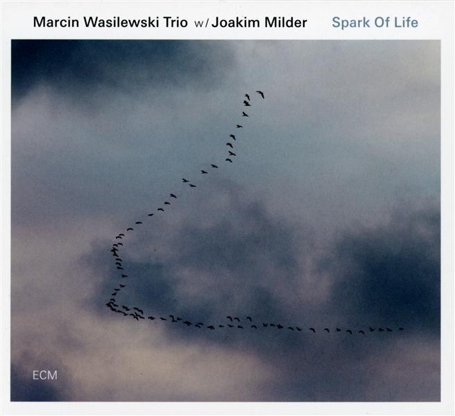 Spark of life - Front Cover