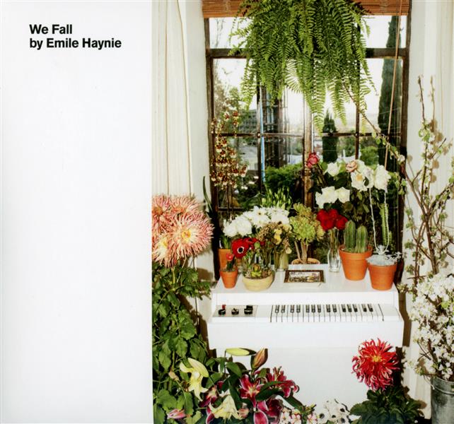 We fall - Front Cover