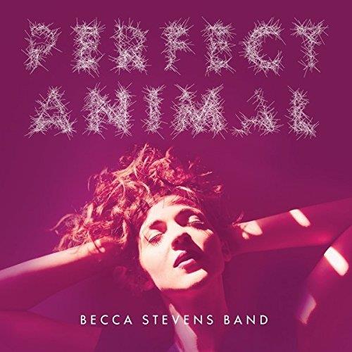Perfect animal - Front Cover